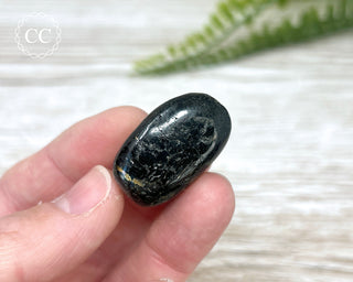 Nuummite Pebble #3