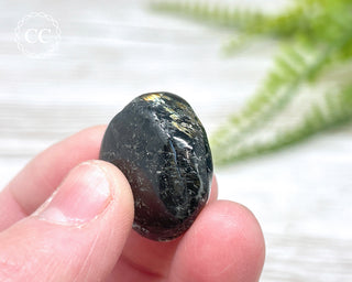 Nuummite Pebble #5