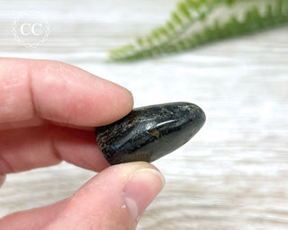 Nuummite Pebble #3