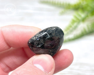 Nuummite Pebble #5