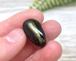 Nuummite Pebble #3
