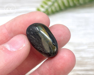 Nuummite Pebble #3