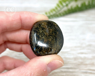 Nuummite Pebble #1