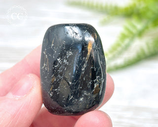 Nuummite Pebble #9