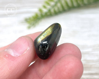 Nuummite Pebble #3