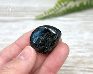 Nuummite Pebble #4