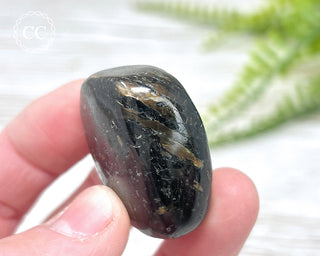 Nuummite Pebble #9