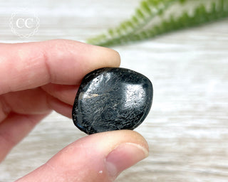 Nuummite Pebble #4