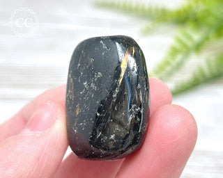 Nuummite Pebble #9