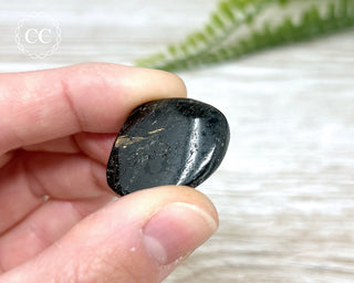 Nuummite Pebble #4