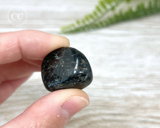 Nuummite Pebble #4