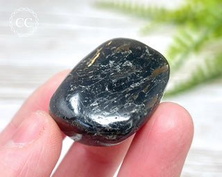 Nuummite Pebble #9