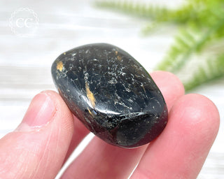 Nuummite Pebble #9