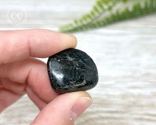 Nuummite Pebble #4