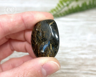 Nuummite Pebble #1