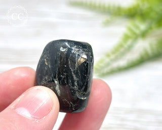 Nuummite Pebble #2