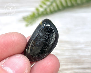Nuummite Pebble #4
