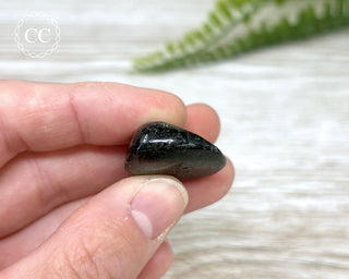 Nuummite Pebble #4