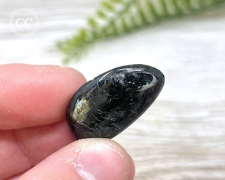 Nuummite Pebble #4