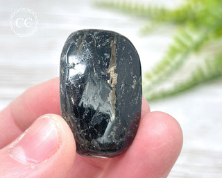 Nuummite Pebble #10