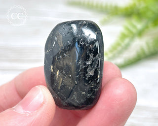 Nuummite Pebble #10