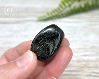 Nuummite Pebble #1