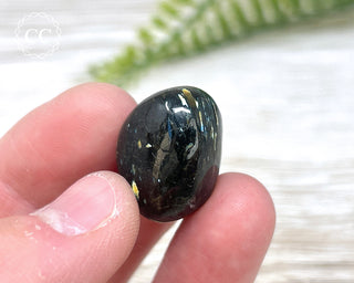 Nuummite Pebble #5