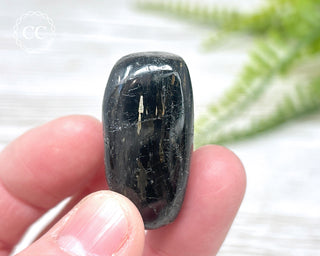 Nuummite Pebble #10