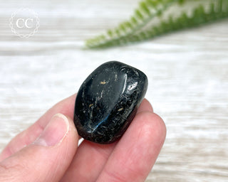 Nuummite Pebble #6