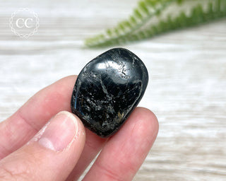 Nuummite Pebble #6