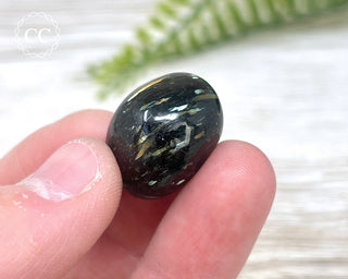 Nuummite Pebble #5