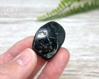 Nuummite Pebble #6