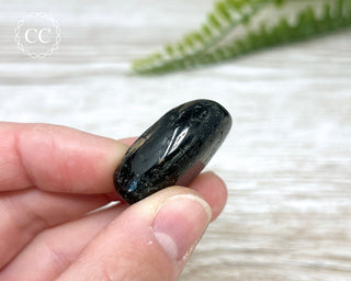 Nuummite Pebble #6