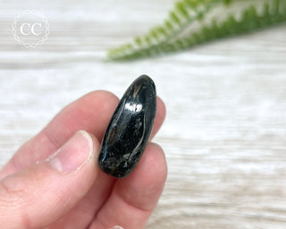 Nuummite Pebble #6