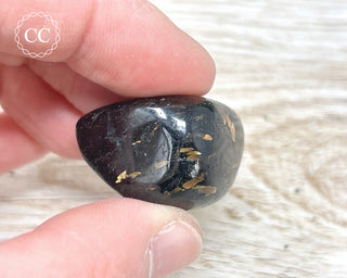 Nuummite Pebble #4