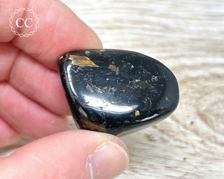 Nuummite Pebble #4