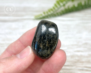 Nuummite Pebble #1