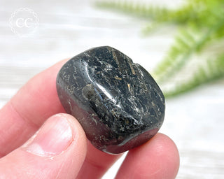 Nuummite Pebble #2