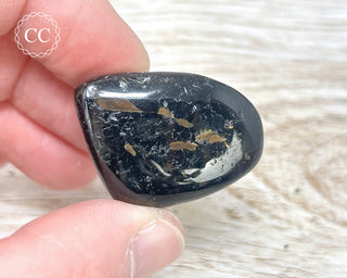 Nuummite Pebble #4