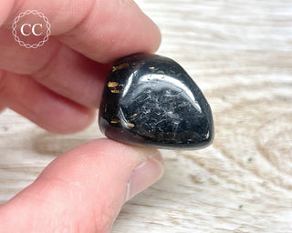 Nuummite Pebble #4