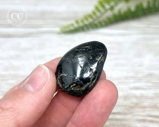 Nuummite Pebble #7