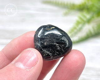 Nuummite Pebble #12