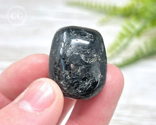 Nuummite Pebble #2