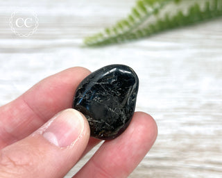 Nuummite Pebble #7