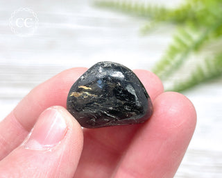 Nuummite Pebble #12