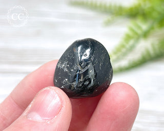 Nuummite Pebble #12