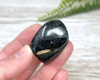 Nuummite Pebble #8