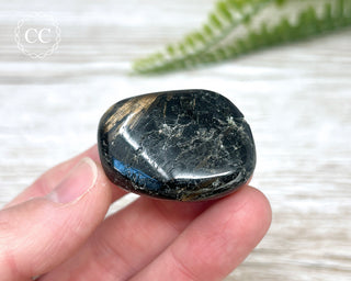 Nuummite Pebble #8