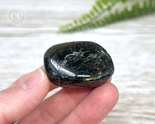 Nuummite Pebble #8