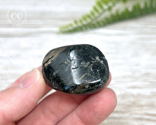 Nuummite Pebble #8